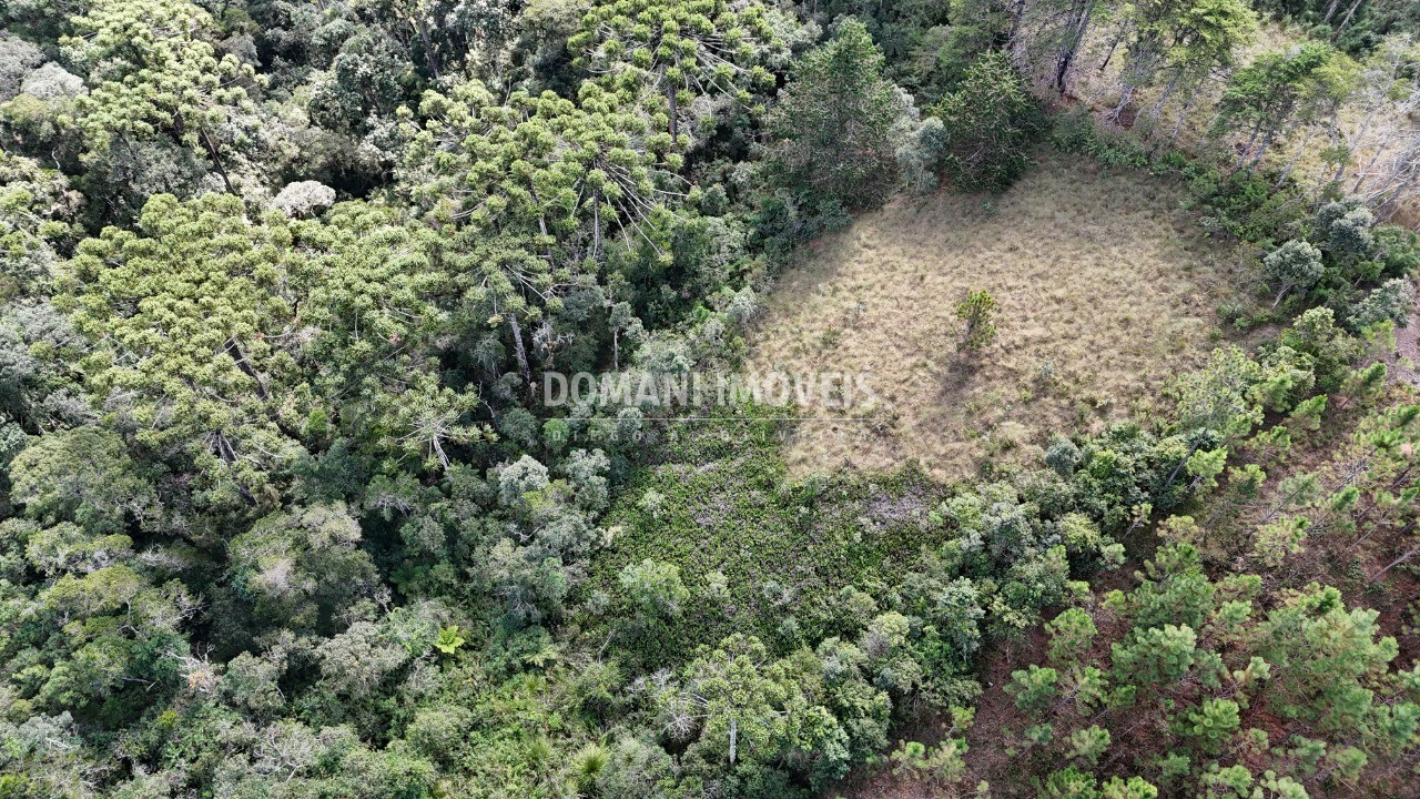Terreno - Foto 14