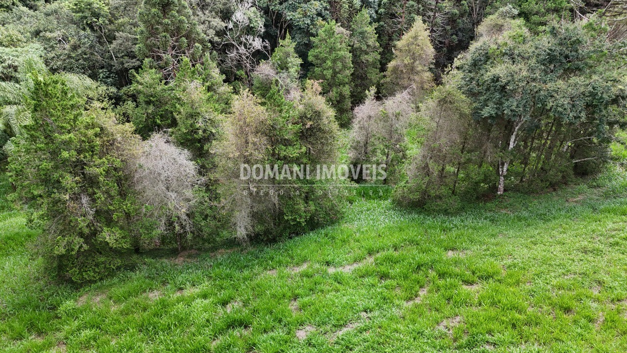 Terreno, 1035 m² - Foto 5