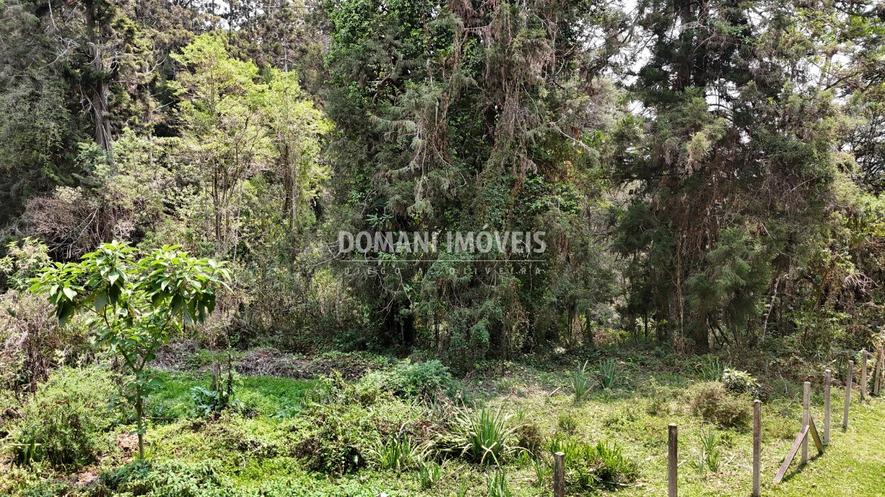 Terreno - Foto 41