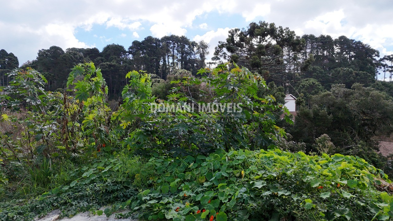 Terreno, 852 m² - Foto 12