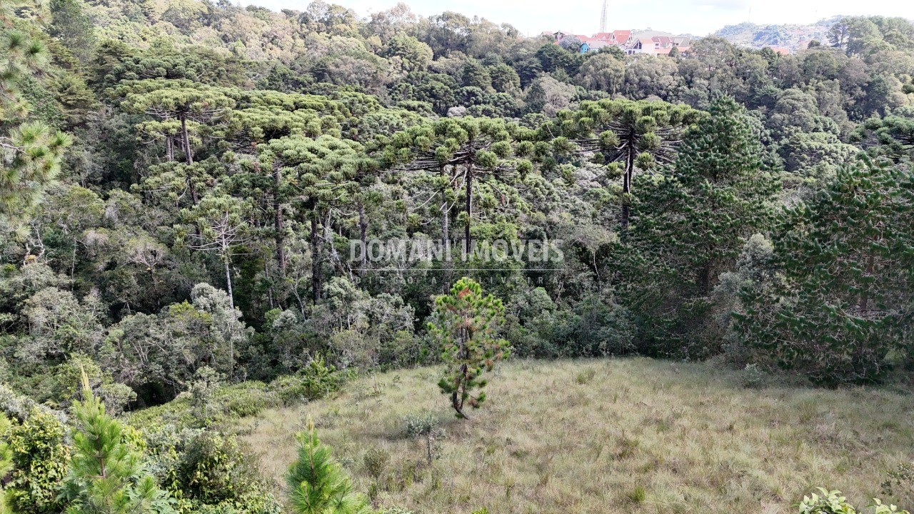 Terreno - Foto 15