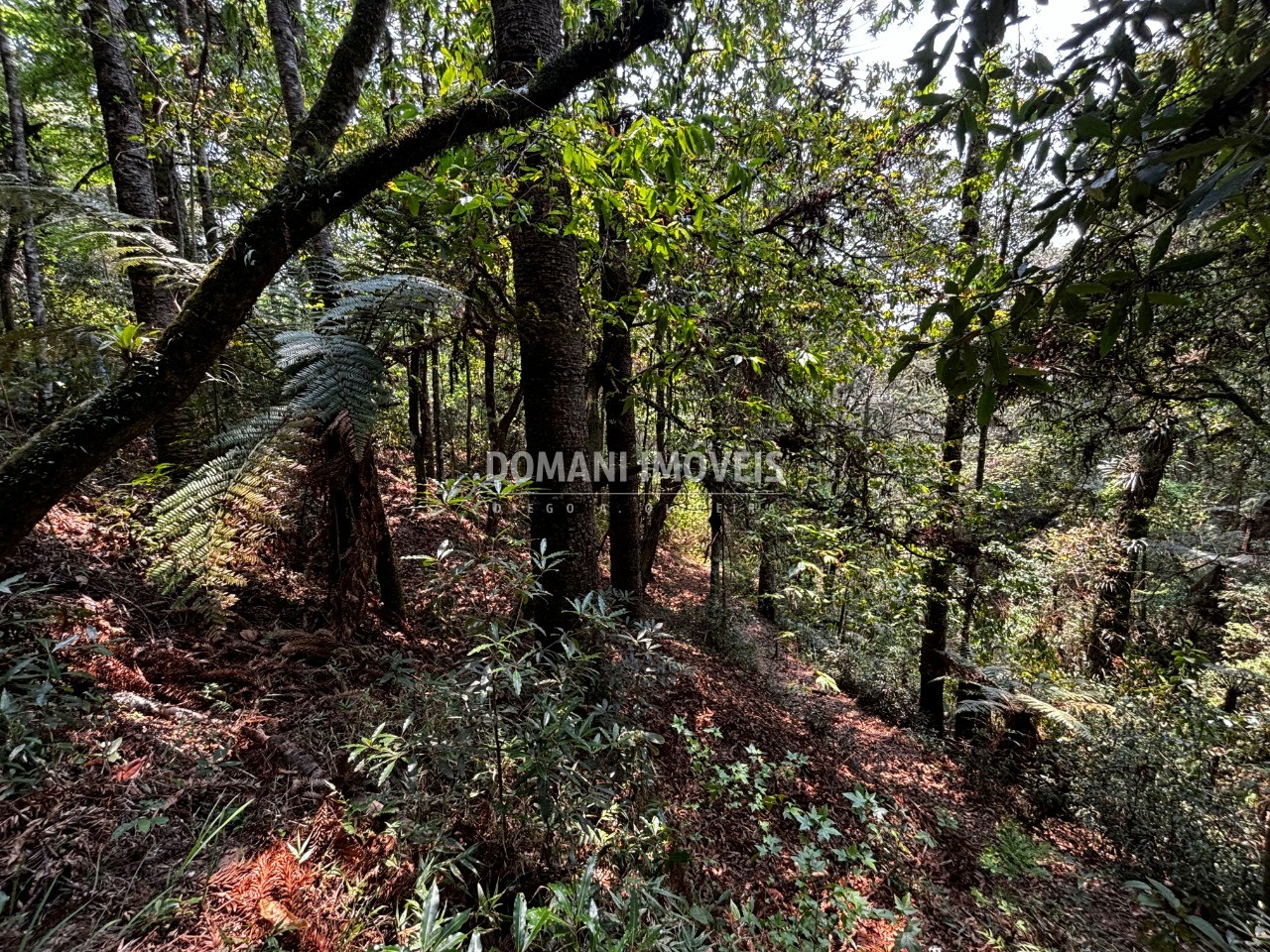 Terreno - Foto 24