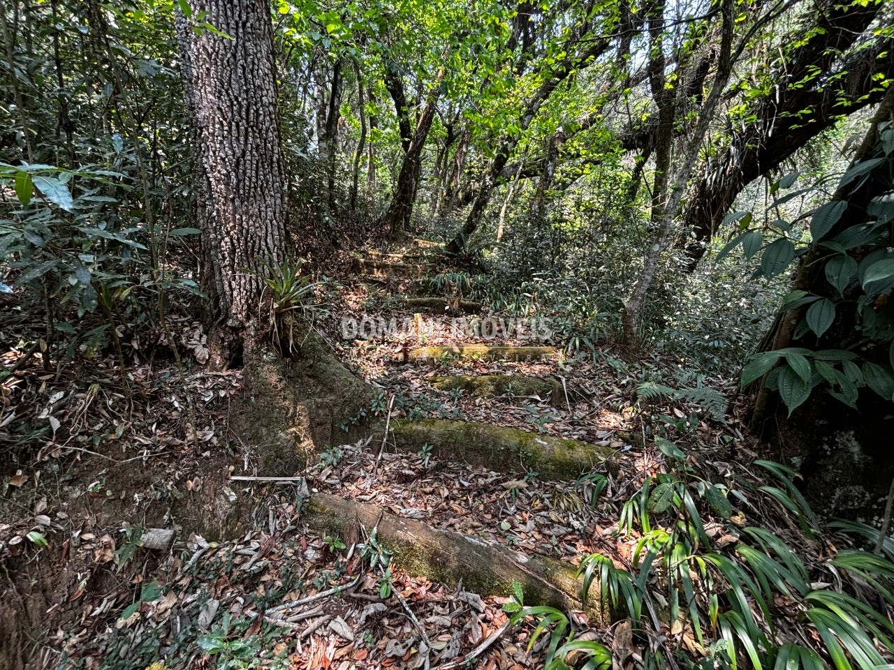 Terreno - Foto 12