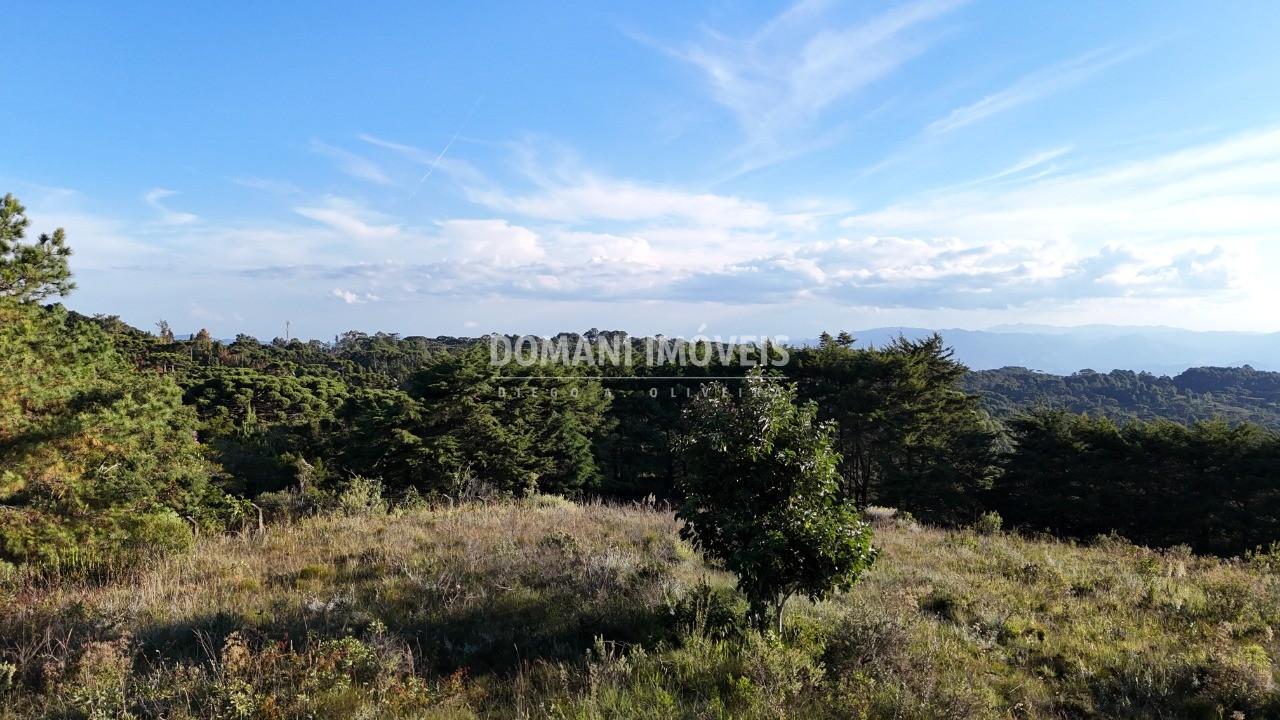 Terreno, 3450 m² - Foto 5