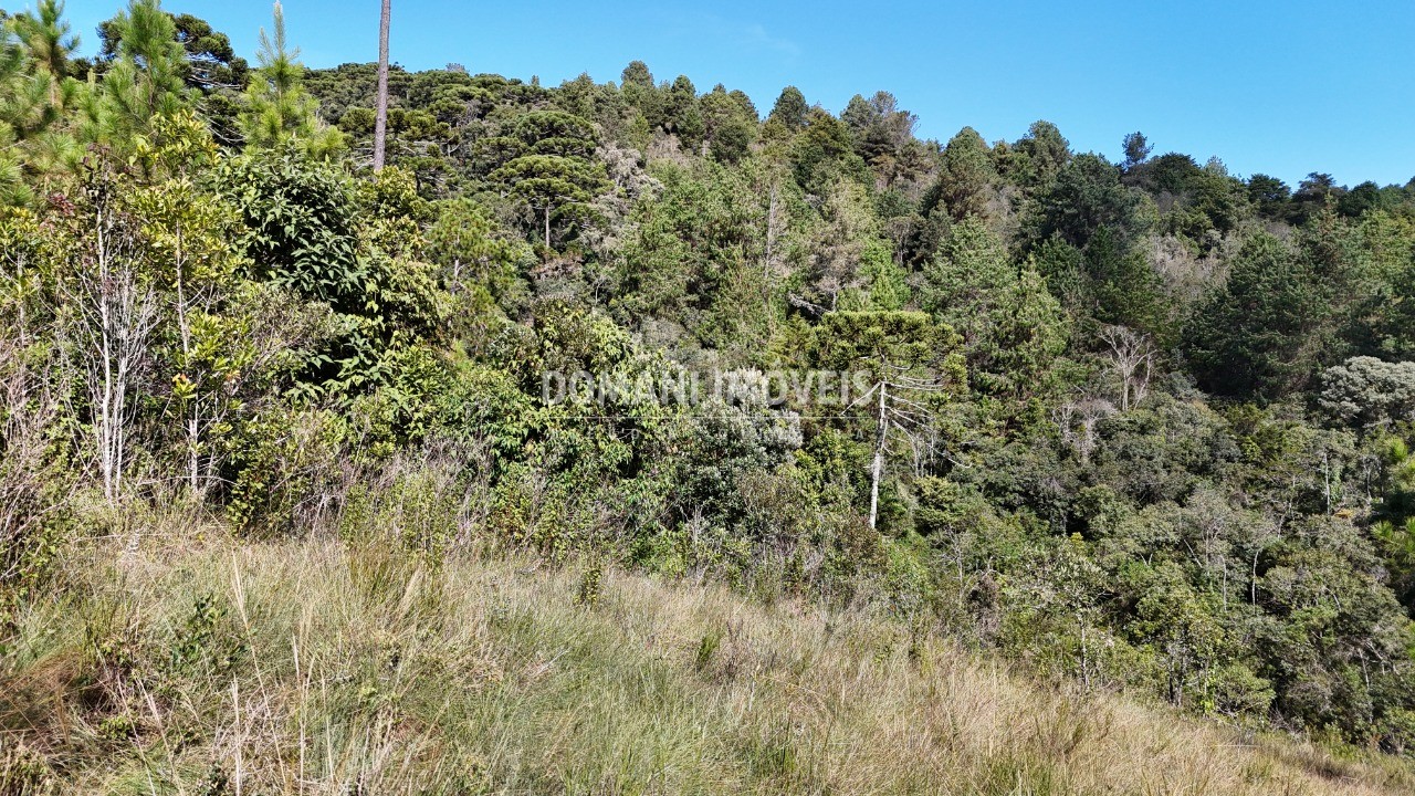 Terreno - Foto 17