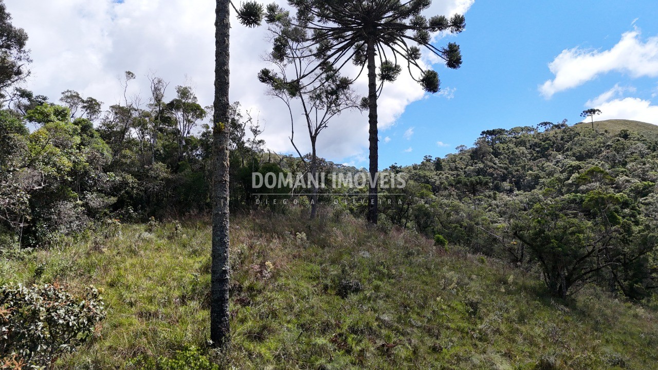 Terreno - Foto 17