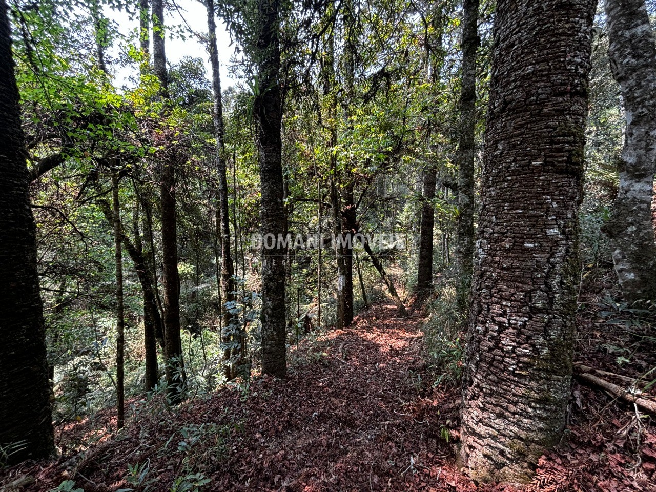 Terreno - Foto 26