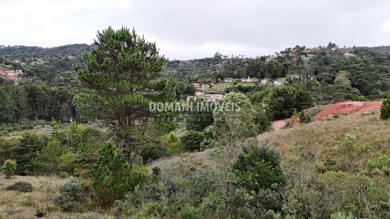 Terreno, 1650 m² - Foto 7
