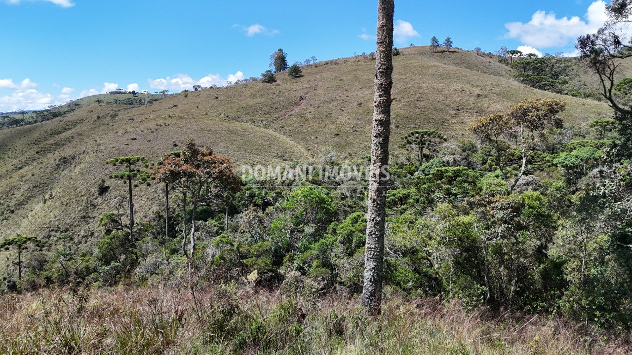 Terreno - Foto 12