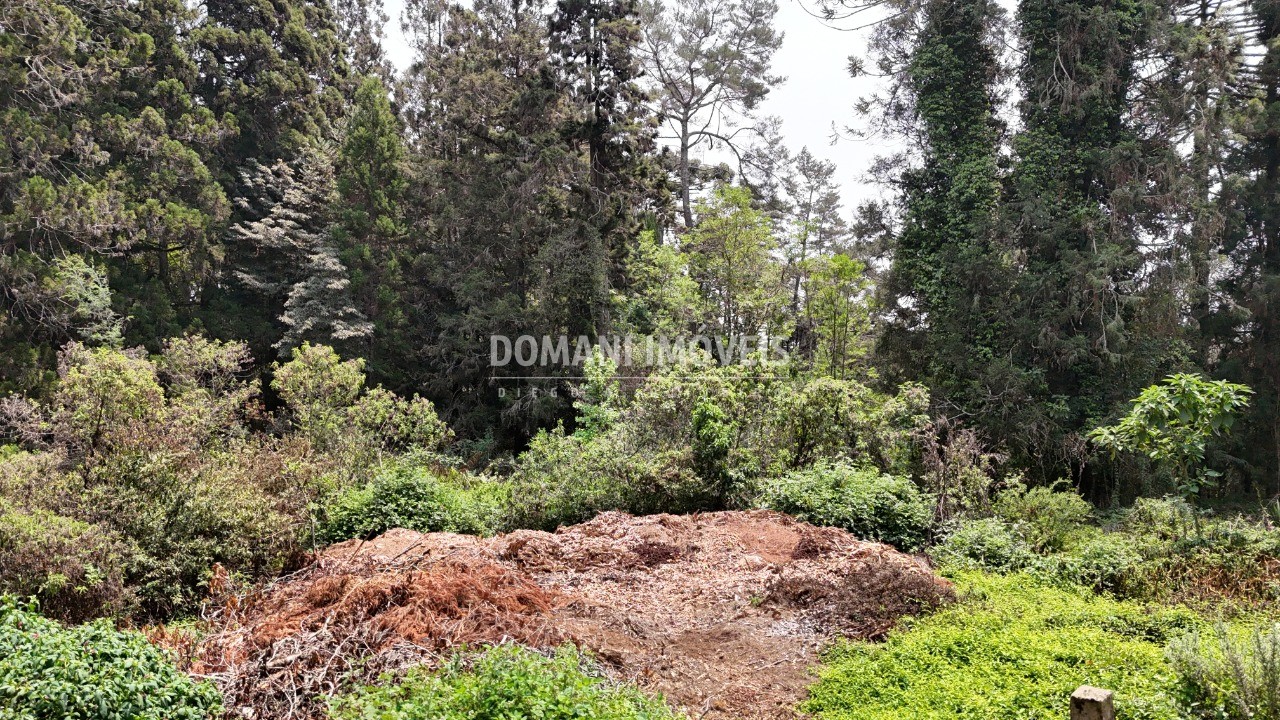 Terreno - Foto 5