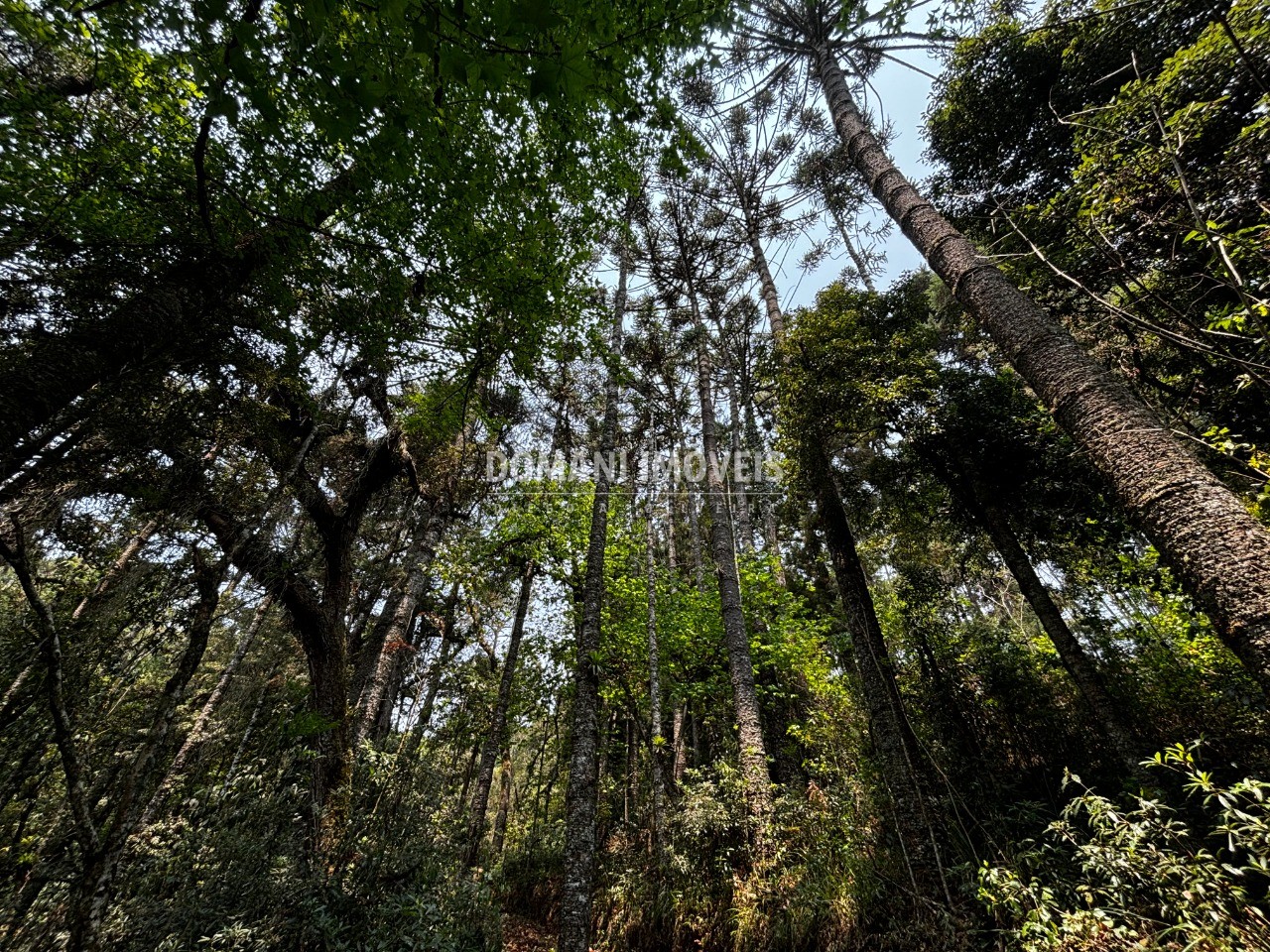 Terreno - Foto 27