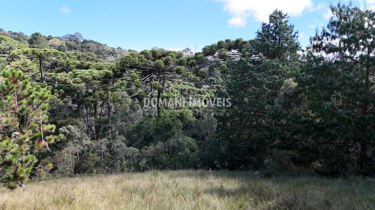 Terreno - Foto 5