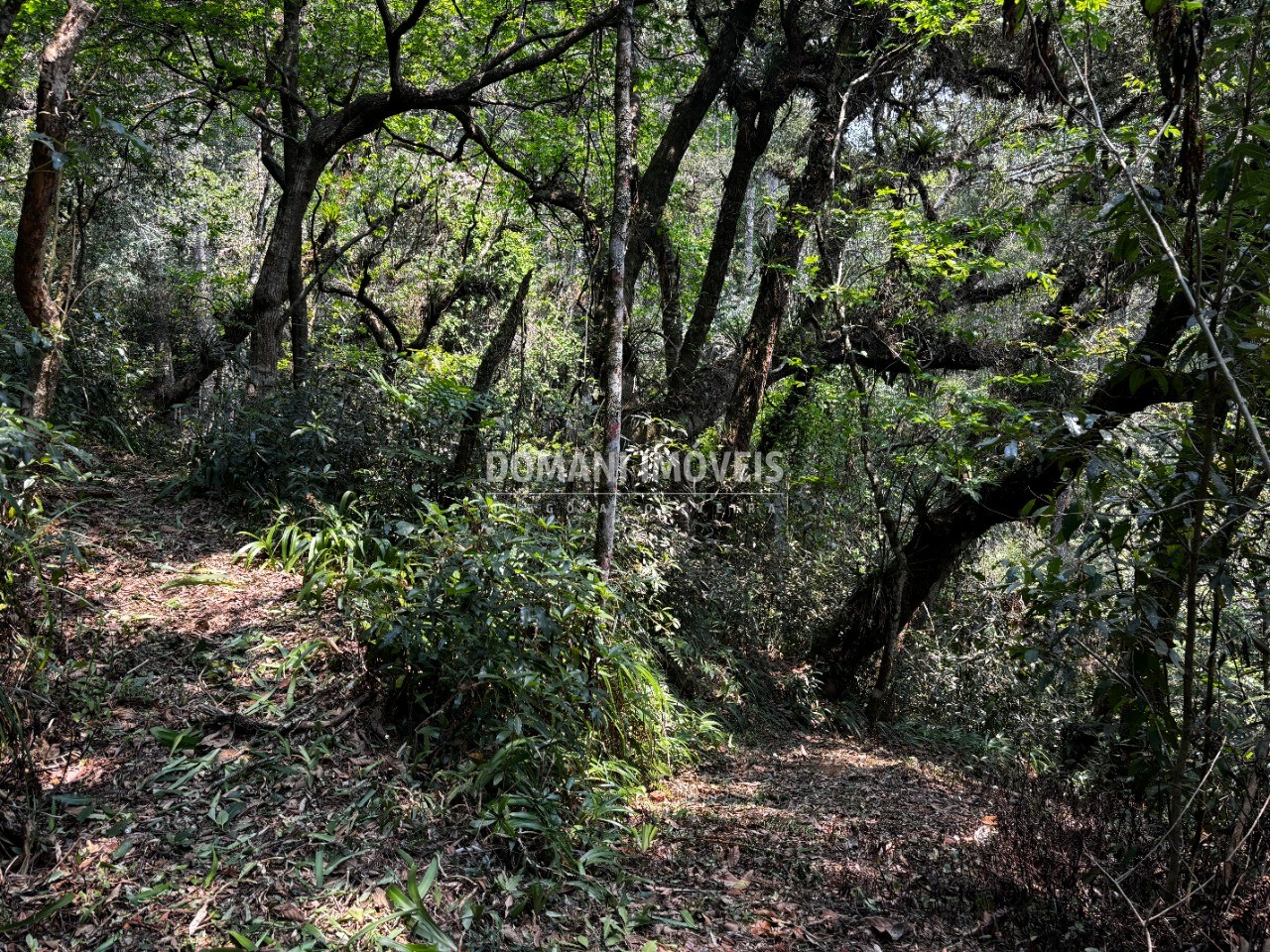 Terreno - Foto 19
