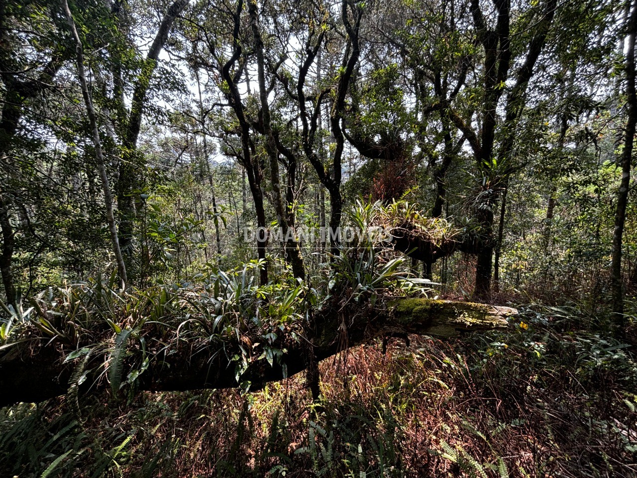 Terreno - Foto 18