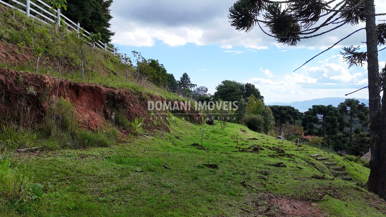 Terreno, 1180 m² - Foto 13