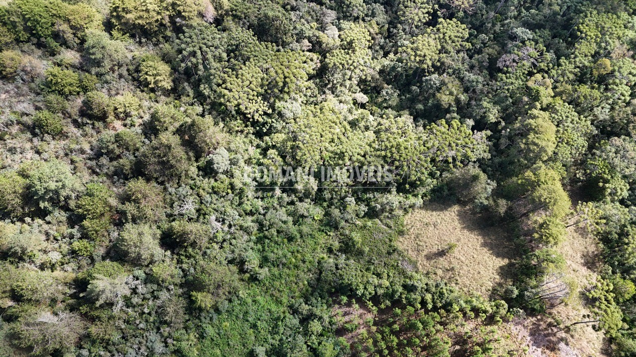 Terreno - Foto 6