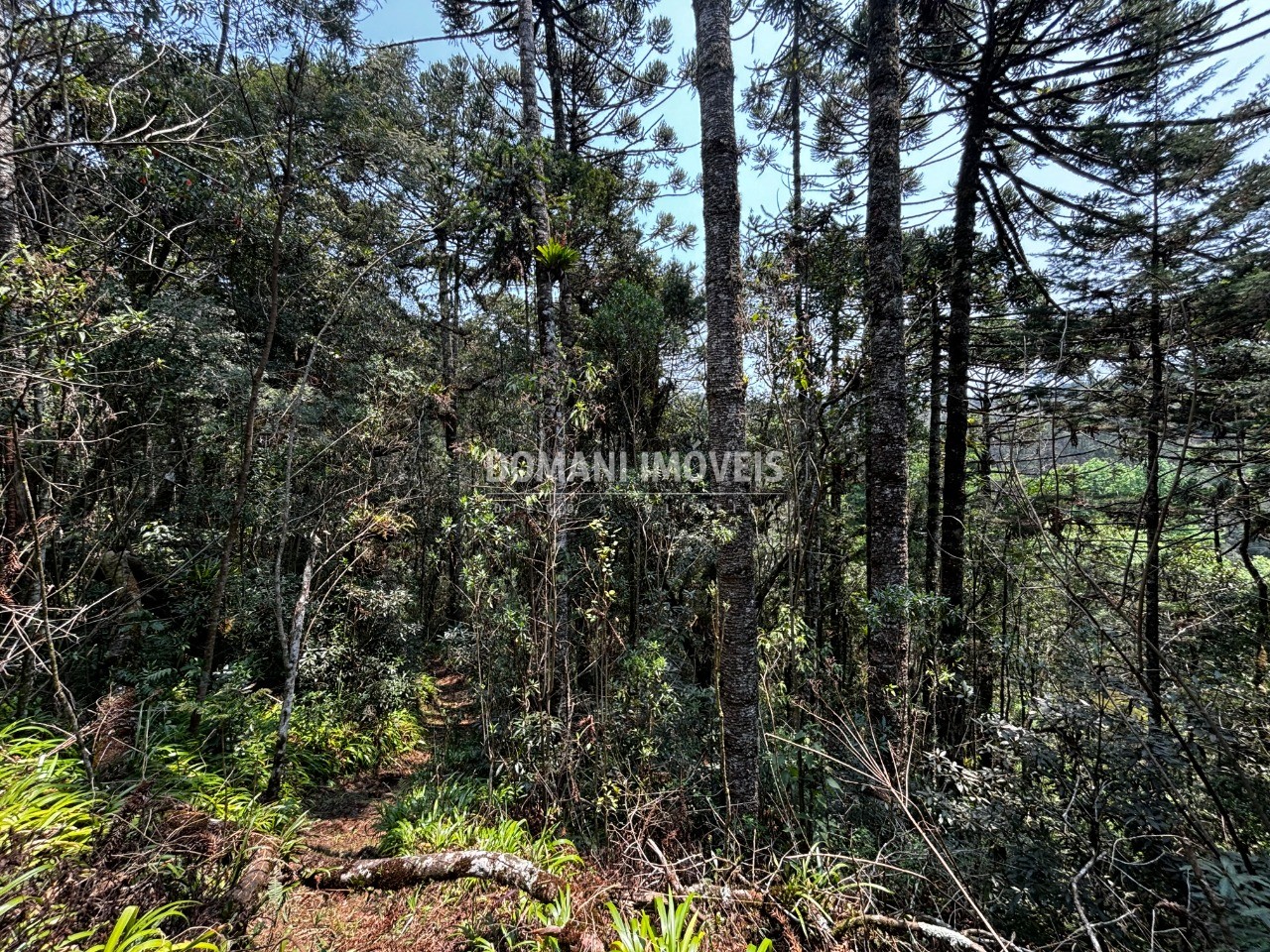 Terreno - Foto 15