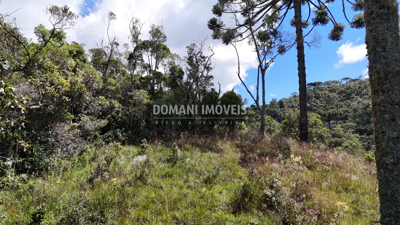 Terreno - Foto 21