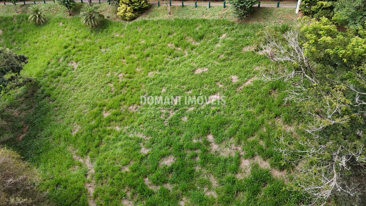 Terreno, 1035 m² - Foto 7