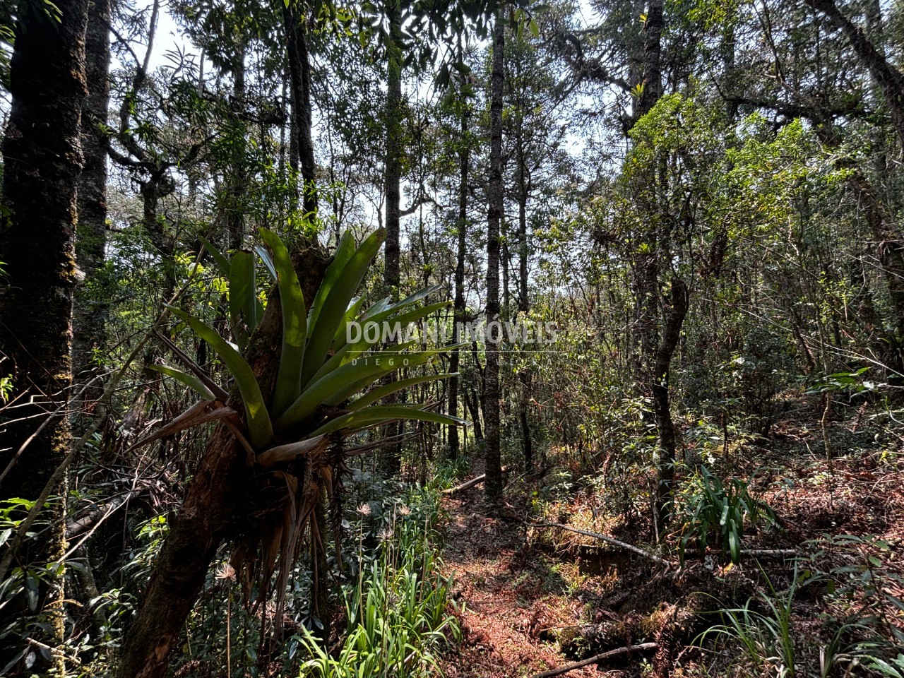 Terreno - Foto 10