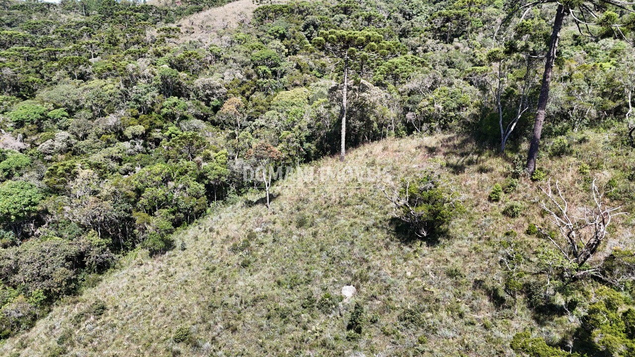 Terreno - Foto 14