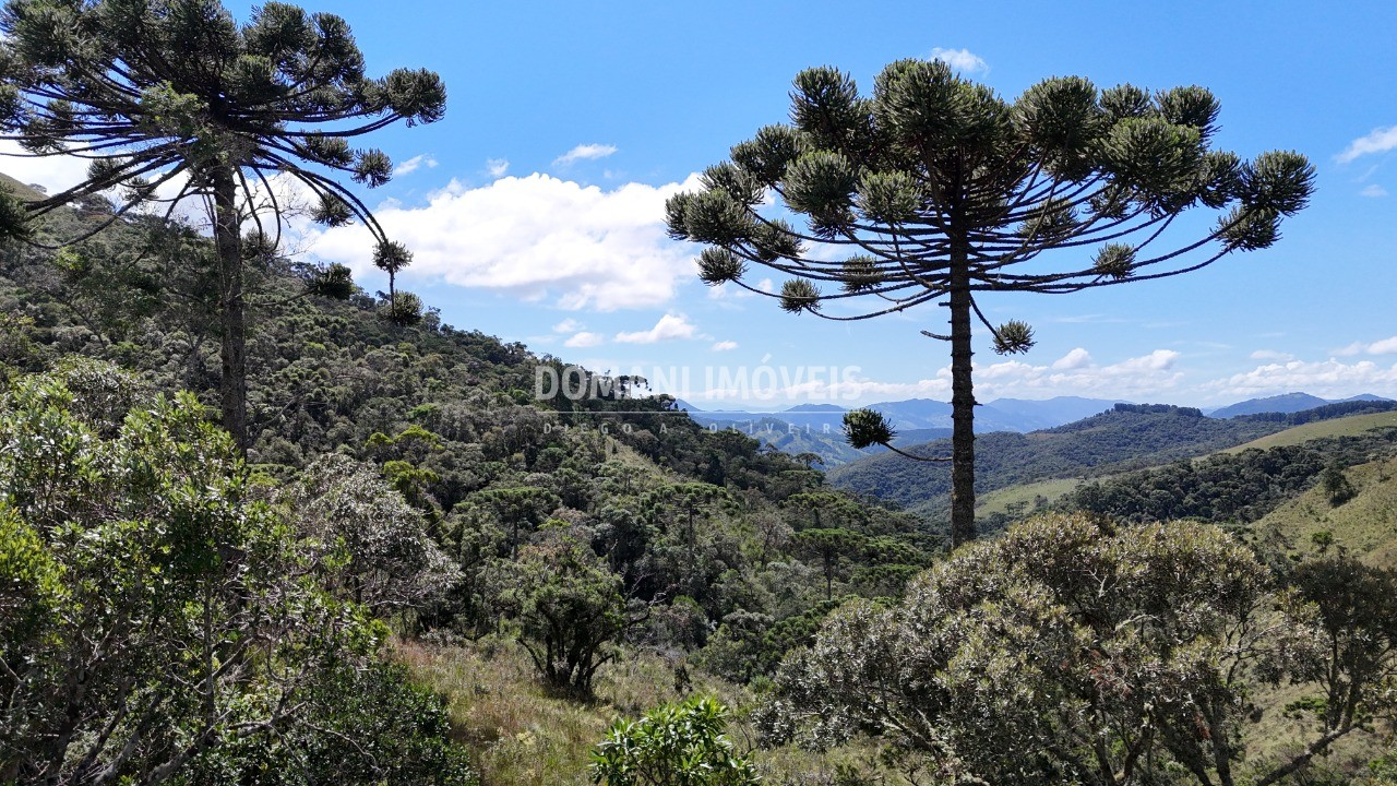 Terreno - Foto 10