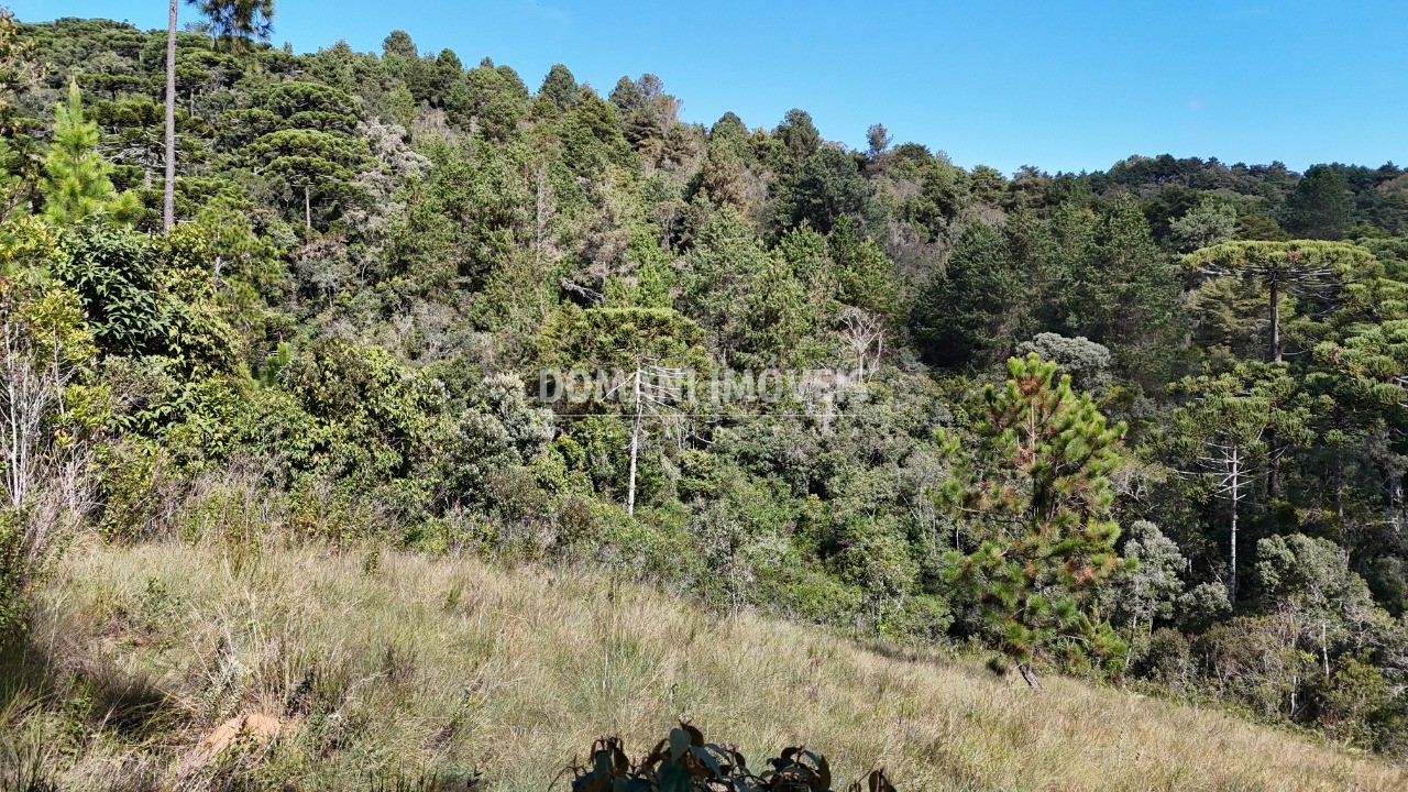 Terreno - Foto 4