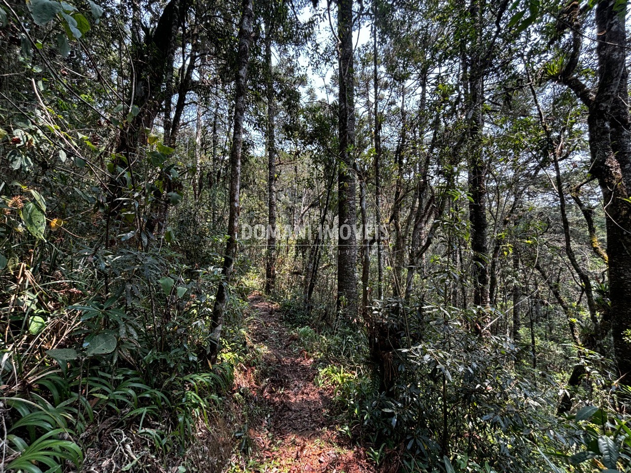 Terreno - Foto 14