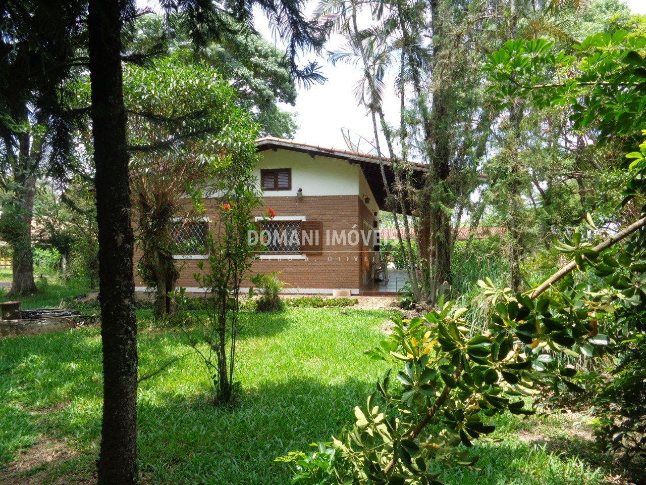 Imóvel Comercial - Foto 3