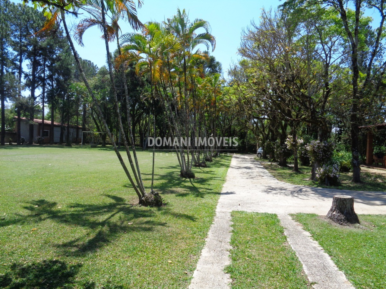 Imóvel Comercial - Foto 5