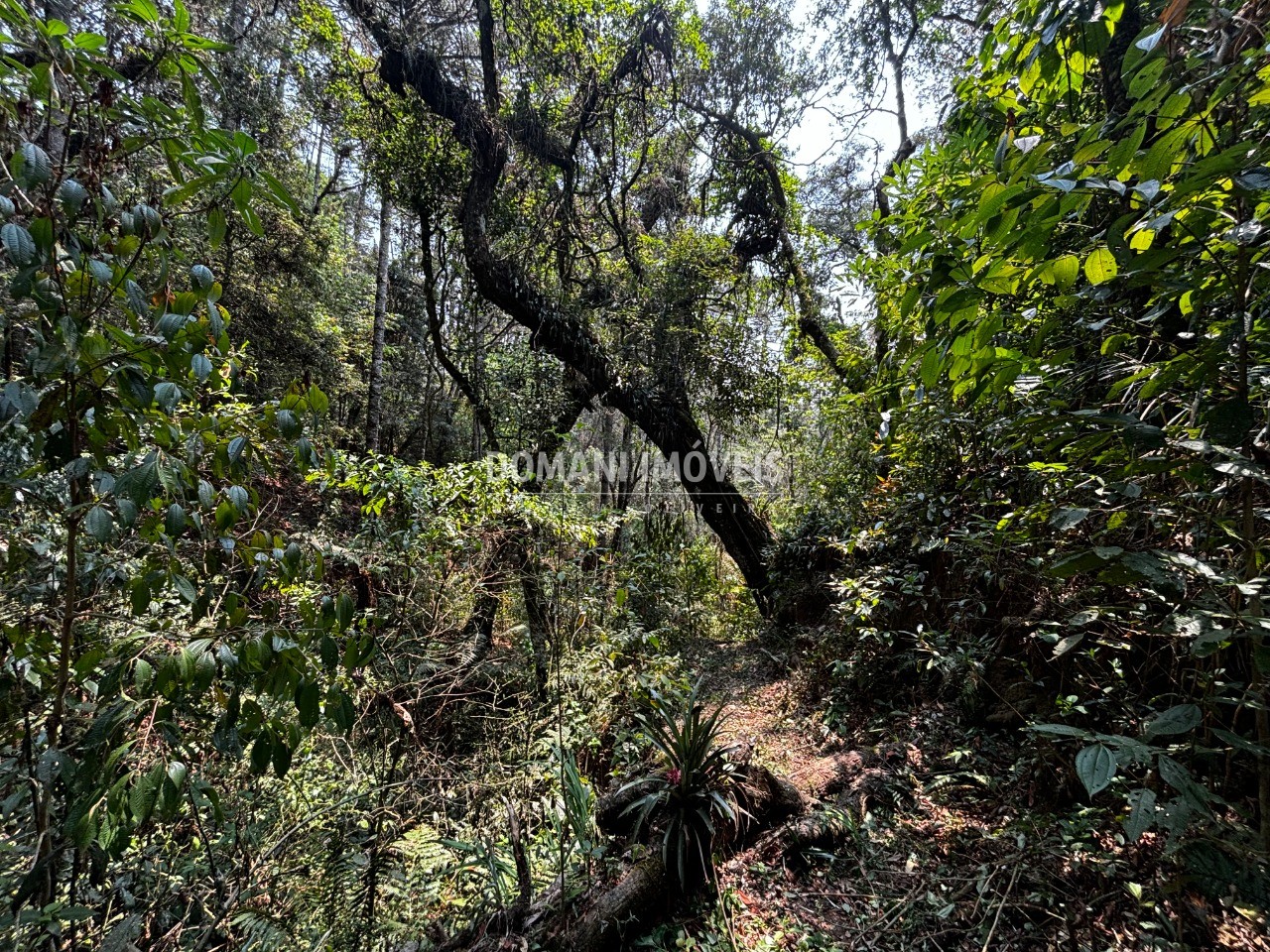 Terreno - Foto 22