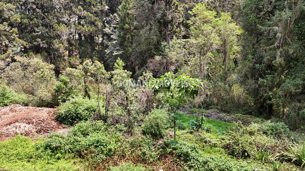 Terreno - Foto 6