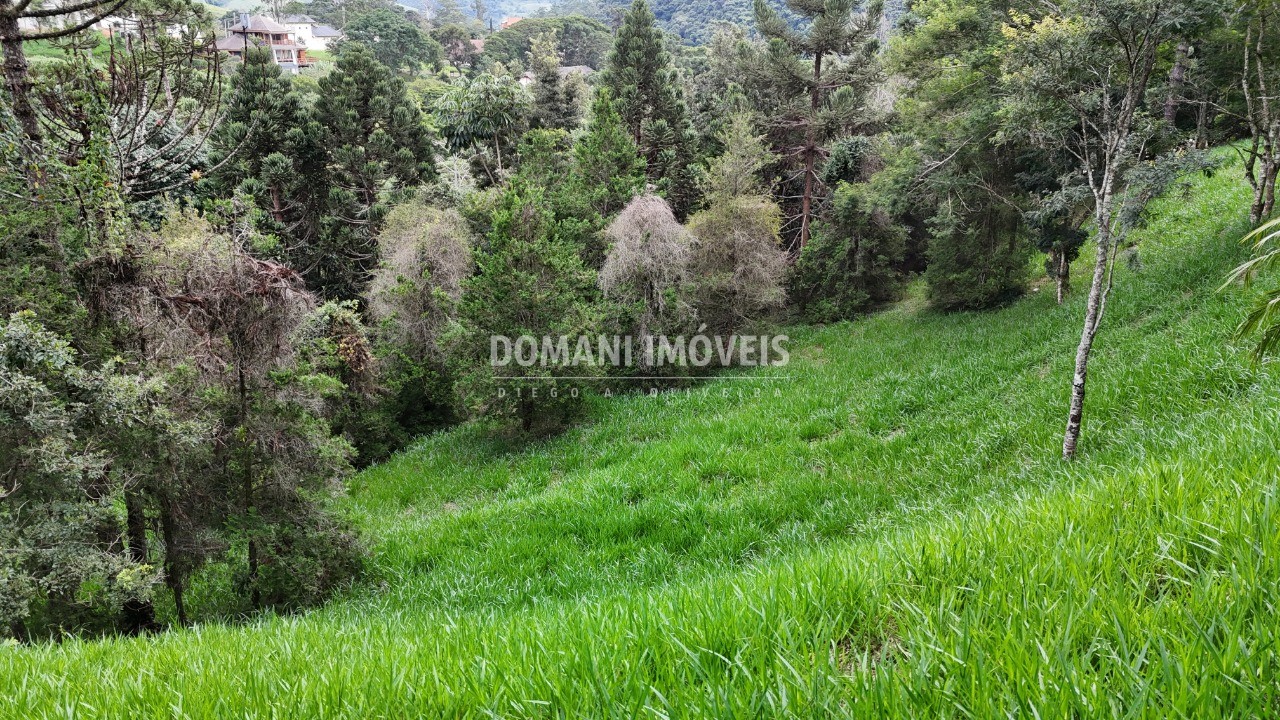 Terreno, 1735 m² - Foto 3