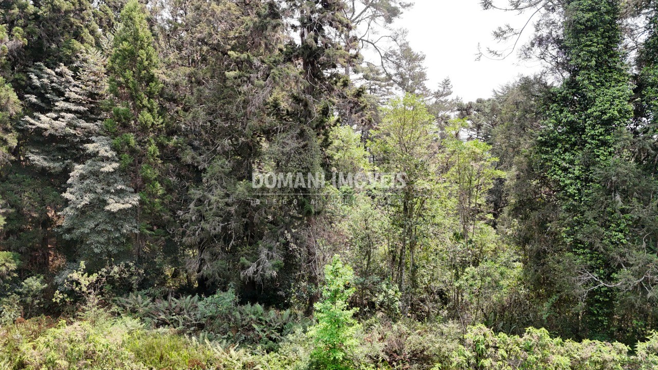 Terreno - Foto 34