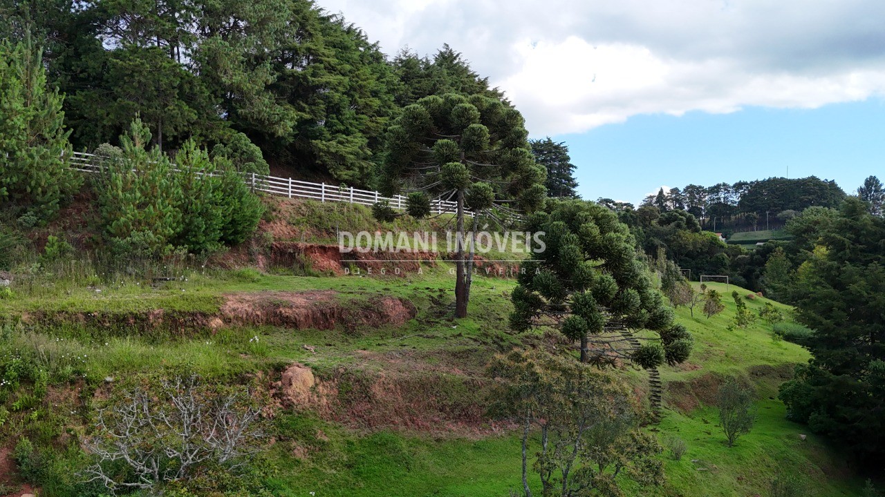 Terreno, 1180 m² - Foto 14