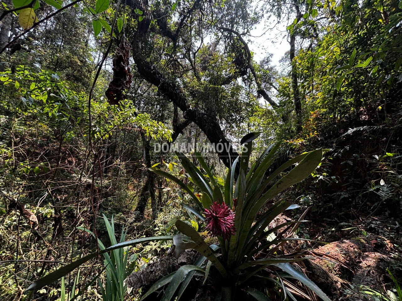 Terreno - Foto 23