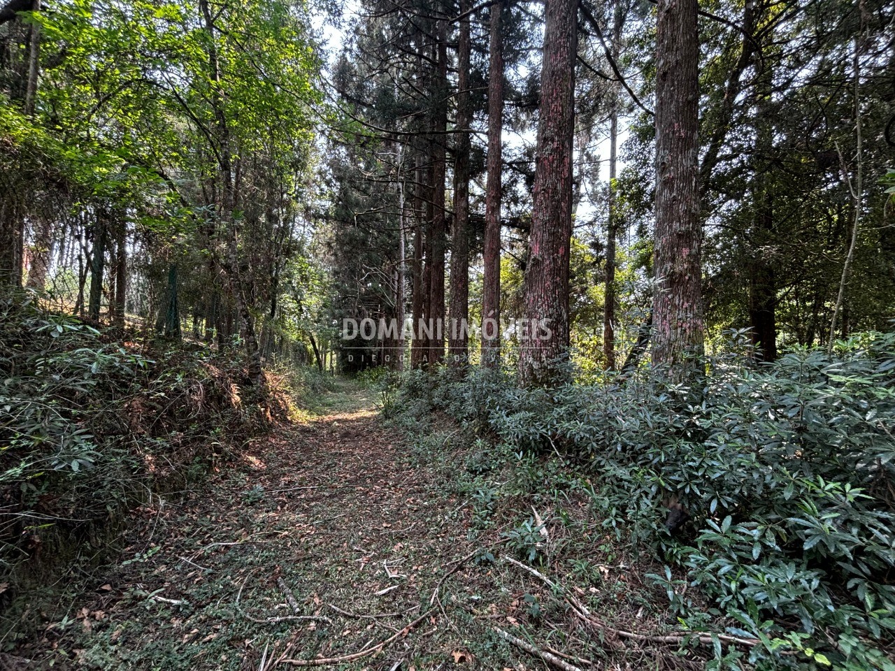 Terreno - Foto 29