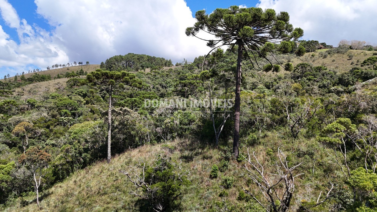 Terreno - Foto 22