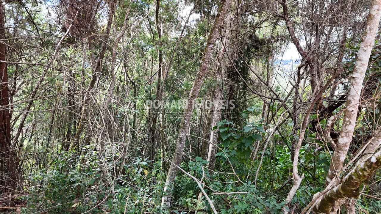 Terreno, 965 m² - Foto 12
