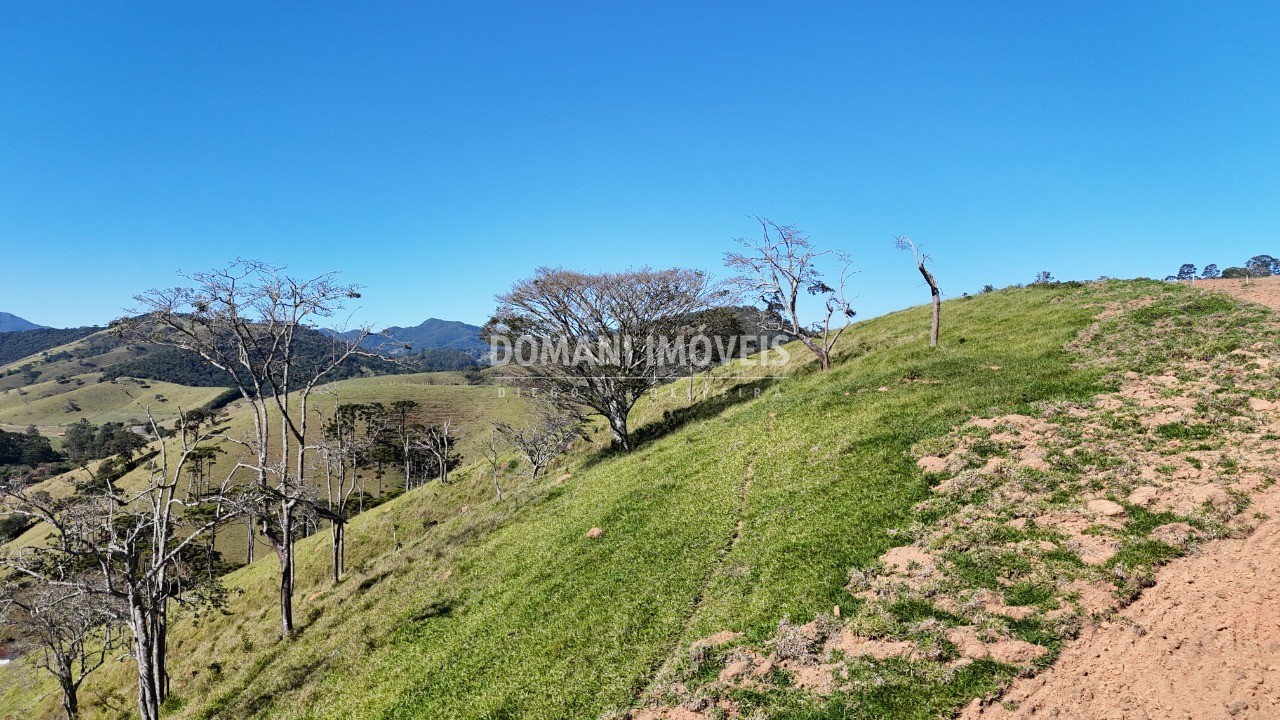 Terreno, 1006 m² - Foto 3