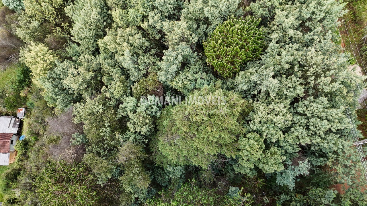 Terreno, 965 m² - Foto 8