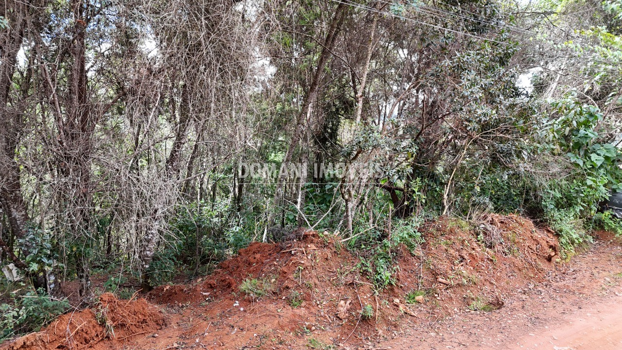 Terreno, 965 m² - Foto 7