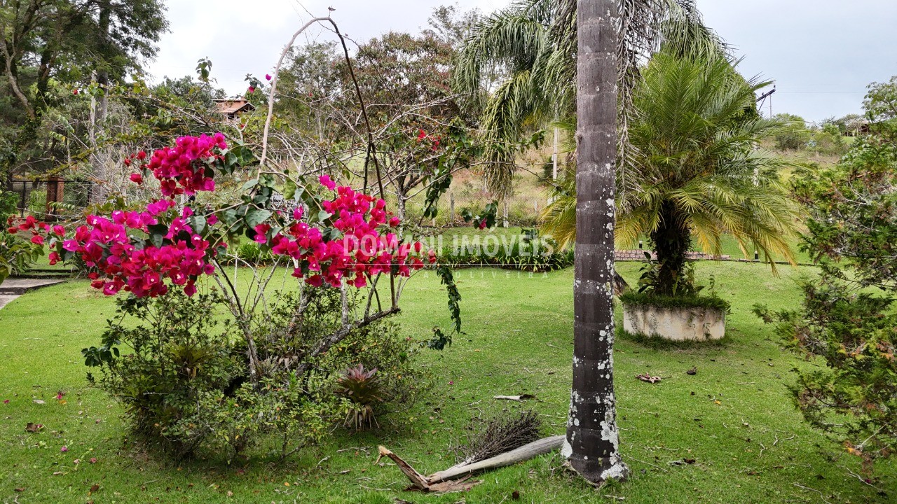 Casa, 3 quartos - Foto 63