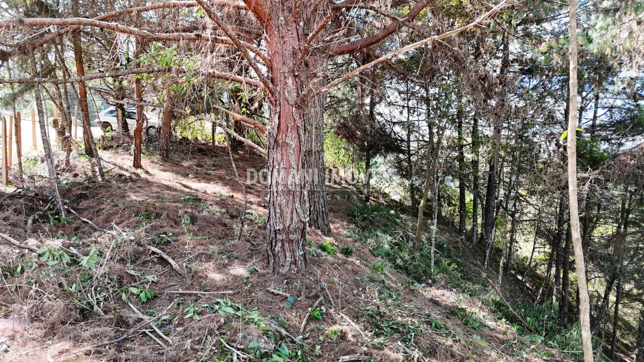 Terreno, 1182 m² - Foto 12