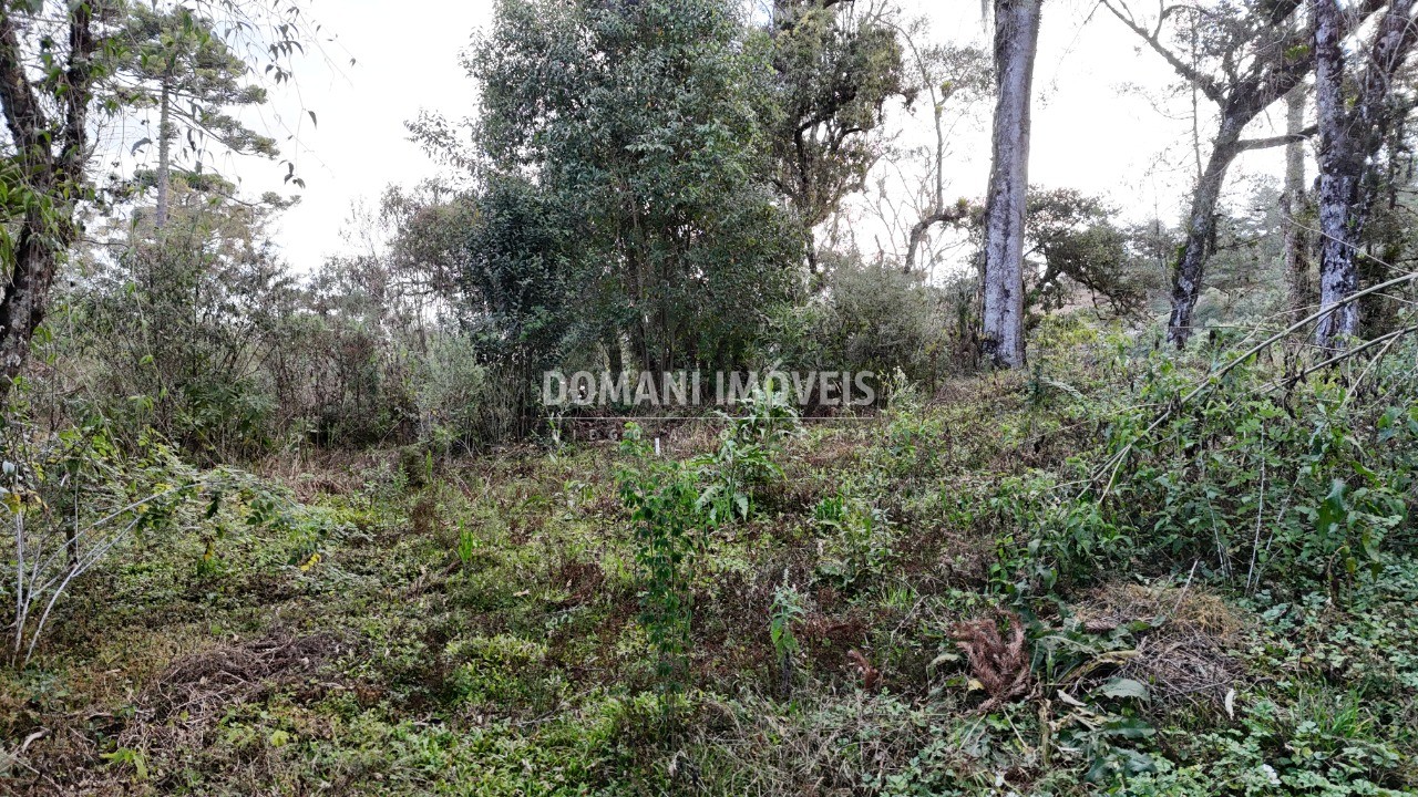 Terreno, 1030 m² - Foto 5