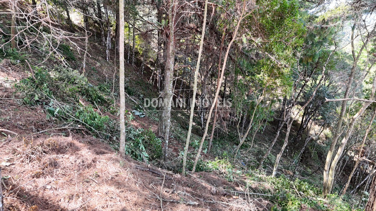 Terreno, 1182 m² - Foto 20