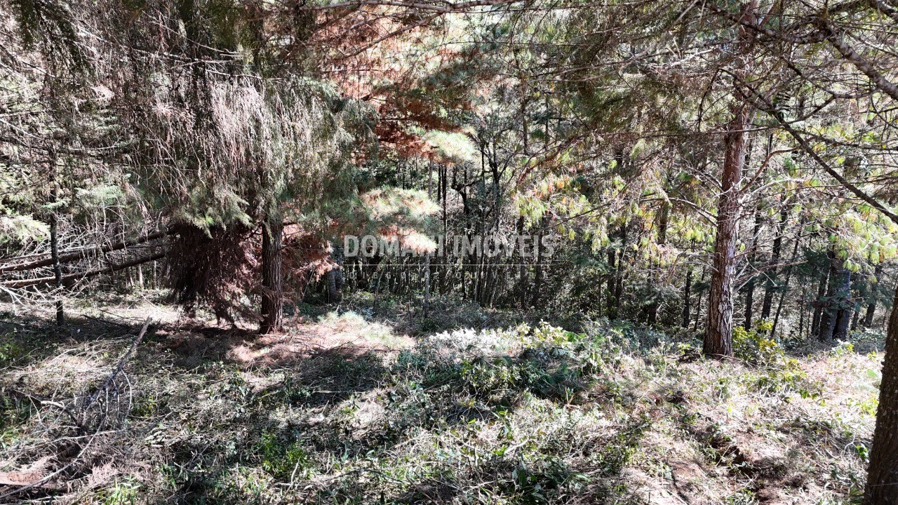Terreno, 1080 m² - Foto 6