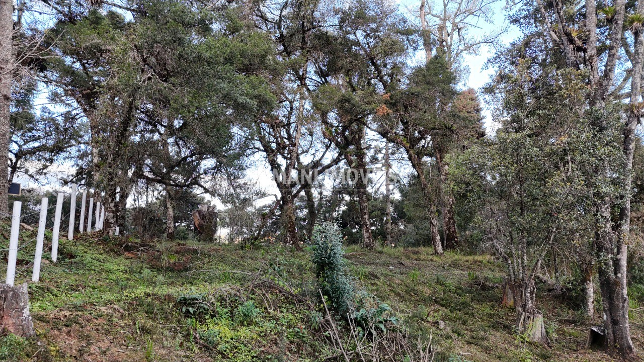 Terreno, 1030 m² - Foto 17