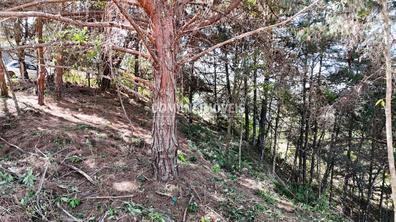 Terreno, 1182 m² - Foto 26
