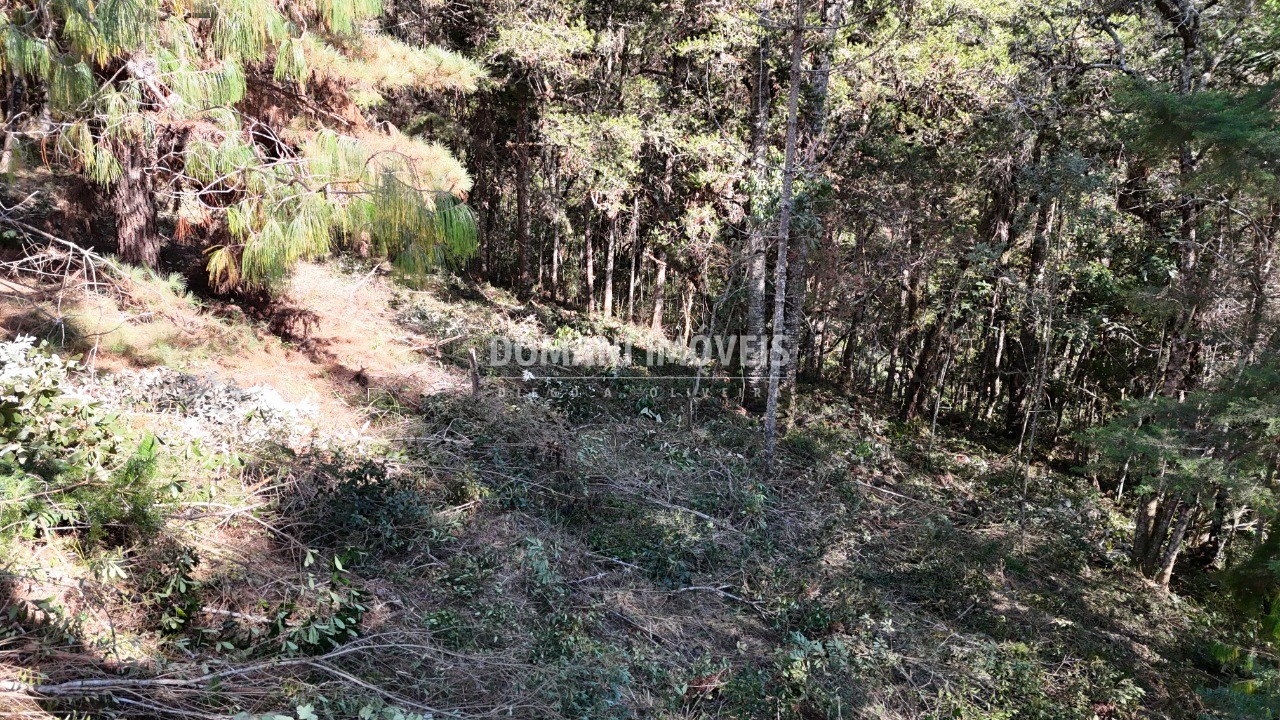 Terreno, 1080 m² - Foto 11